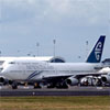 Air New Zealand leading carrier on NZ domestic and trans-Tasman