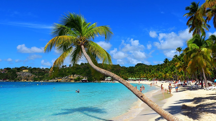 Guadeloupe to develop as top Caribbean destination